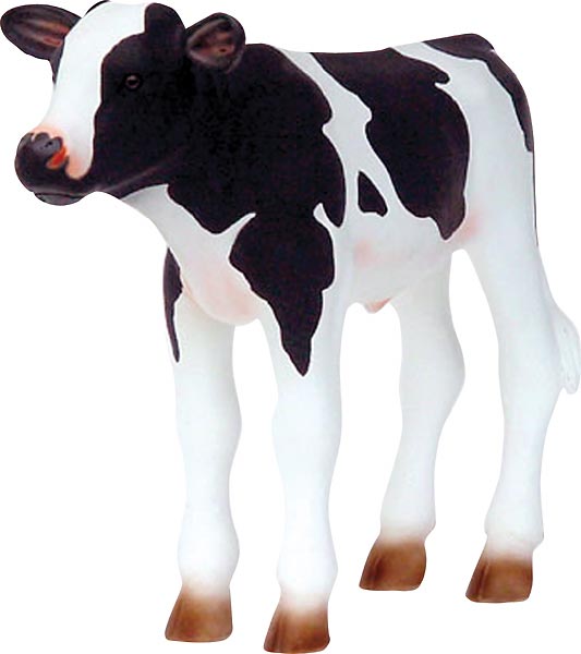 Newborn Calf - Black & White